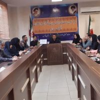 برگزاری جلسه کمیته تخصصی مشارکتهای اجتماعی و تشکیل موسسه در شهرستان قدس